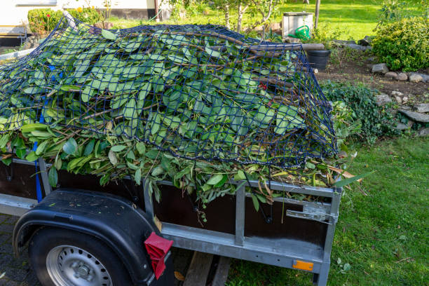 Best Hoarding Cleanup  in Chester Center, CT